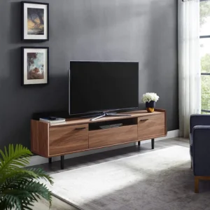 Aashu TV Stand
