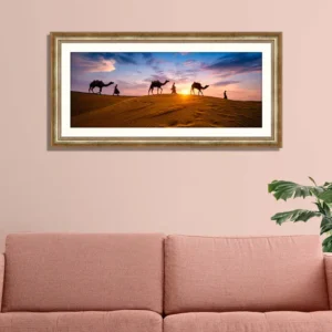 Camel in Thar desert-sunset