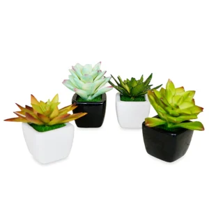 Small Pot Planter(Set Of 2)