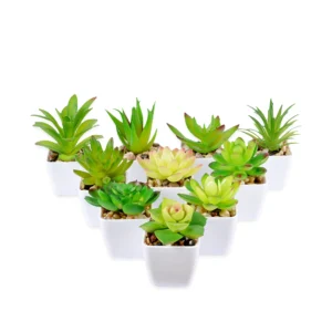 Multi Decorative Planter(Set Of 2)