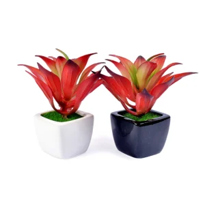 Small Ceramic Planter (set of 2)