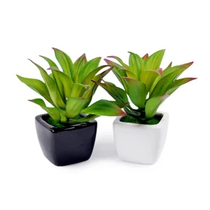 Small Ceramic Planter (set of 2)