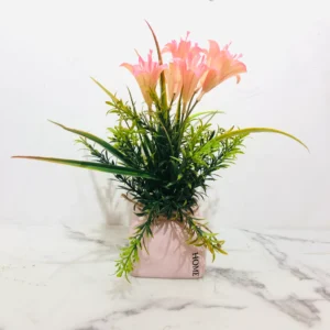 Pink Patonia in Rough Pink Pot