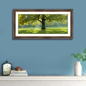 beautiful-tree-middle-field