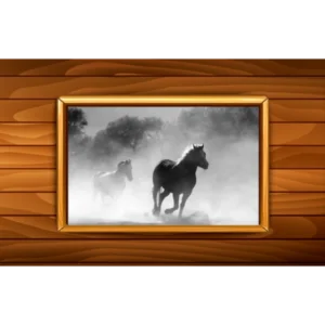 Once Upon A Time Horses Wall Art