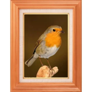 Beautiful Sparrow painting