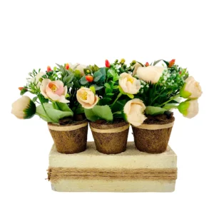 Colorful 3 Pot Planters